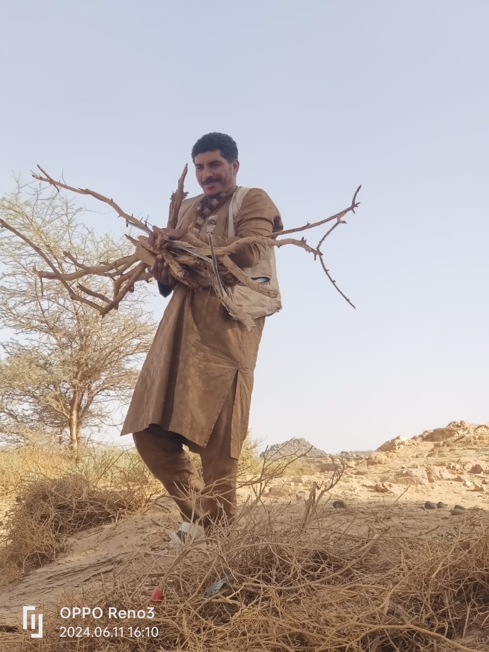 صورة المعرض